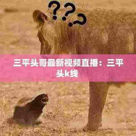 三平头哥最新视频直播：三平头k线 