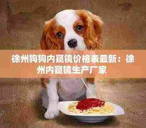 徐州狗狗内窥镜价格表最新:徐州内窥镜生产厂家