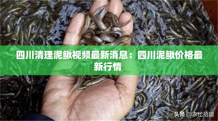 虚张声势 第5页