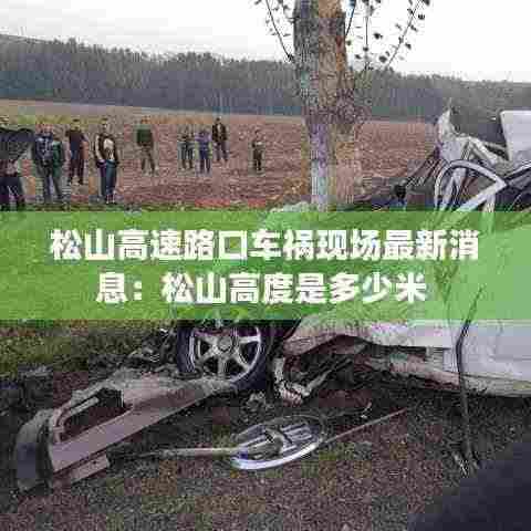 松山高速路口车祸现场最新消息:松山高度是多少米