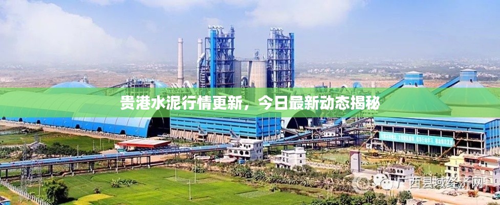 贵港水泥行情更新,今日最新动态揭秘