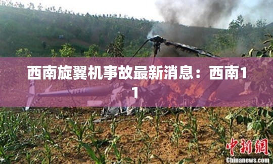西南旋翼机事故最新消息:西南11