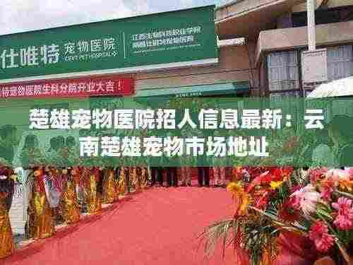 楚雄宠物医院招人信息最新:云南楚雄宠物市场地址