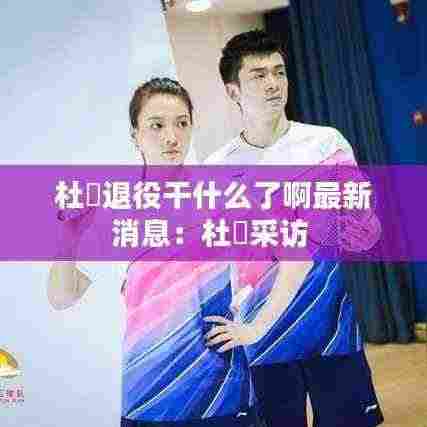 杜玥退役干什么了啊最新消息:杜玥采访