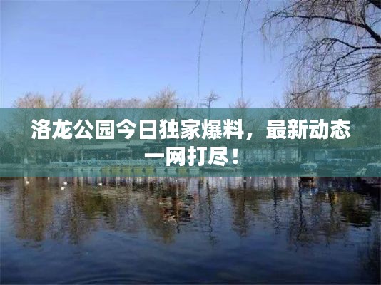 洛龙公园今日独家爆料,最新动态一网打尽!