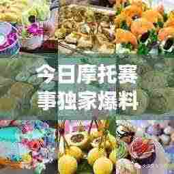 今日摩托赛事独家爆料，最新动态一网打尽！