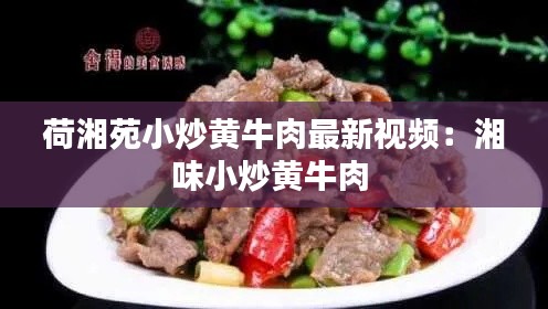 荷湘苑小炒黄牛肉最新视频:湘味小炒黄牛肉