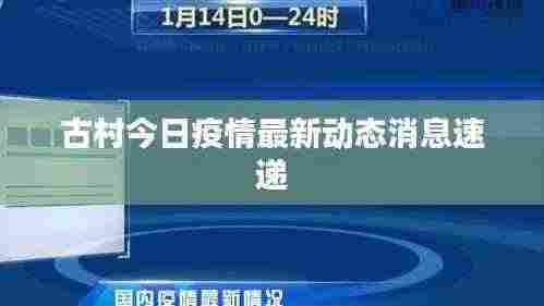 古村今日疫情最新动态消息速递
