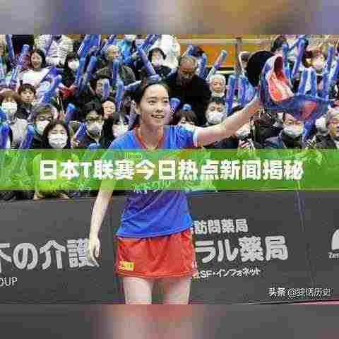 日本T联赛今日热点新闻揭秘