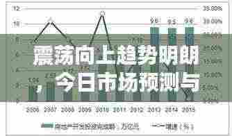 震荡向上趋势明朗，今日市场预测与深度分析