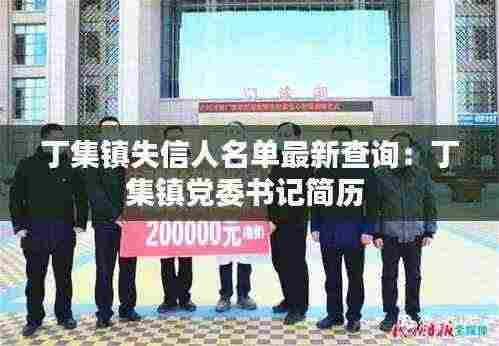 丁集镇失信人名单最新查询:丁集镇党委书记简历