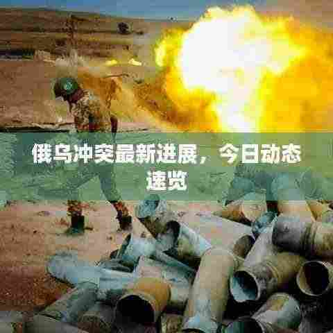 俄乌冲突最新进展,今日动态速览