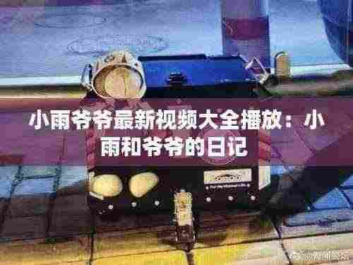 小雨爷爷最新视频大全播放:小雨和爷爷的日记