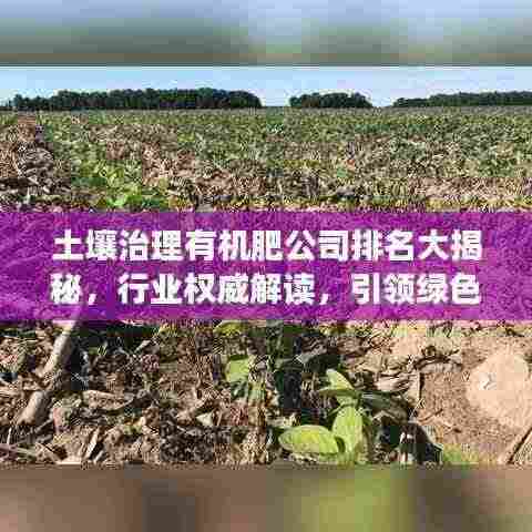 土壤治理有机肥公司排名大揭秘,行业权威解读,引领绿色生态发展之路!