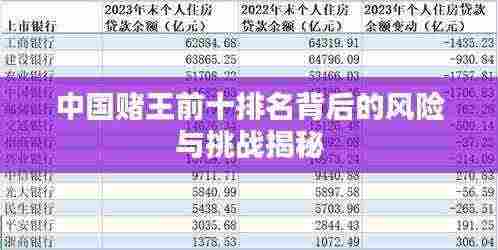 中国赌王前十排名背后的风险与挑战揭秘