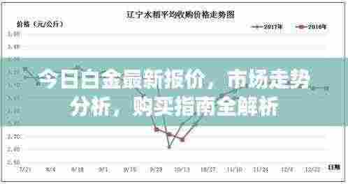 今日白金最新报价,市场走势分析,购买指南全解析
