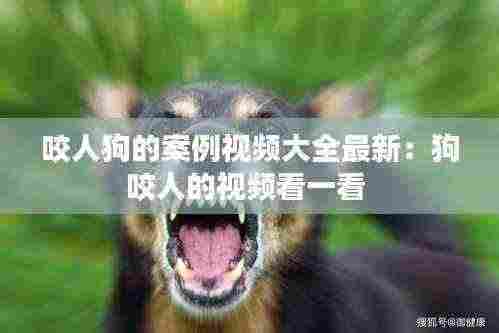 咬人狗的案例视频大全最新:狗咬人的视频看一看