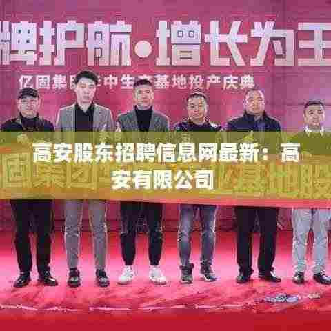 高安股东招聘信息网最新：高安有限公司 