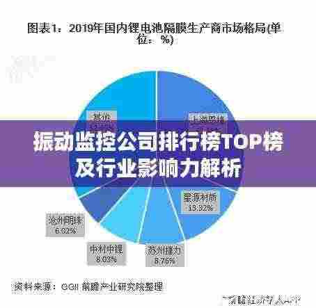 振动监控公司排行榜TOP榜及行业影响力解析