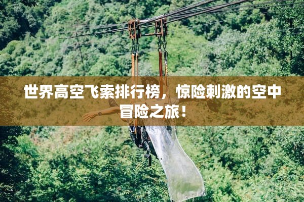 世界高空飞索排行榜,惊险刺激的空中冒险之旅!