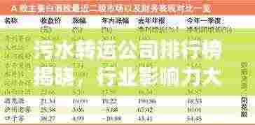污水转运公司排行榜揭晓，行业影响力大揭秘！