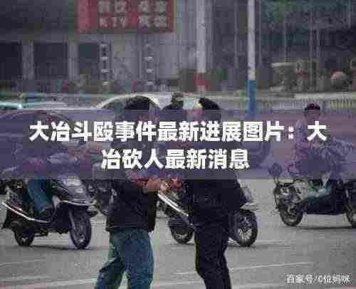 大冶斗殴事件最新进展图片:大冶砍人最新消息