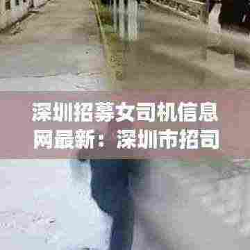 深圳招募女司机信息网最新：深圳市招司机招聘信息 