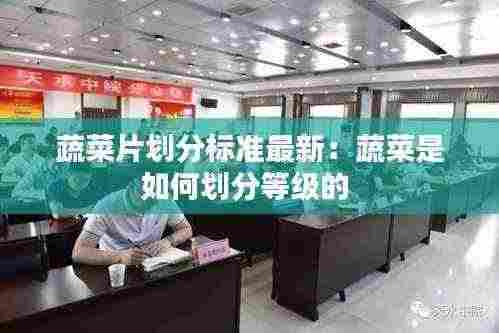 蔬菜片划分标准最新:蔬菜是如何划分等级的