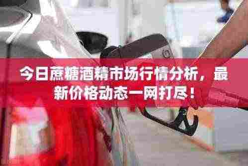 今日蔗糖酒精市场行情分析,最新价格动态一网打尽!