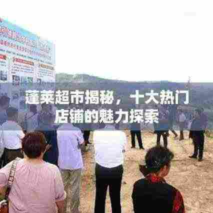 蓬莱超市揭秘，十大热门店铺的魅力探索