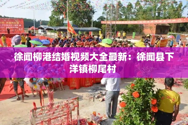 徐闻柳港结婚视频大全最新：徐闻县下洋镇柳尾村 