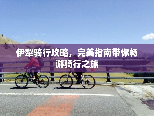 伊犁骑行攻略,完美指南带你畅游骑行之旅
