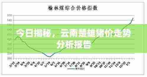 今日揭秘，云南楚雄猪价走势分析报告