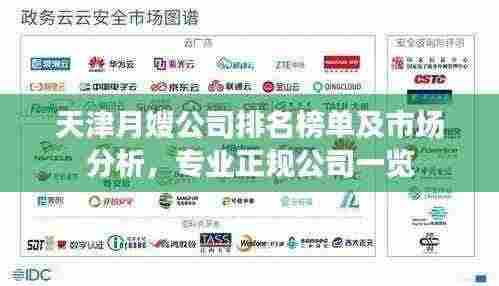 天津月嫂公司排名榜单及市场分析,专业正规公司一览