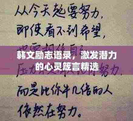 韩文励志语录,激发潜力的心灵箴言精选