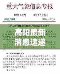 高阳最新消息速递,今日播报更新内容摘要