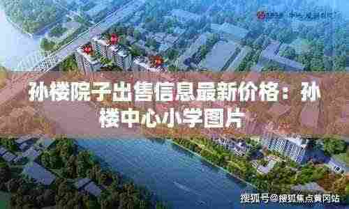 孙楼院子出售信息最新价格:孙楼中心小学图片