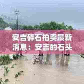 安吉碎石拍卖最新消息：安吉的石头 
