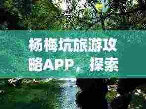 杨梅坑旅游攻略APP,探索自然美景的神秘之旅
