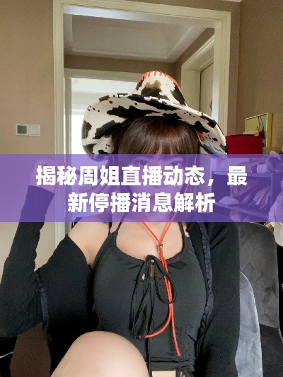 揭秘周姐直播动态,最新停播消息解析