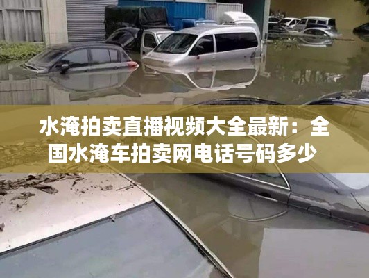 水淹拍卖直播视频大全最新:全国水淹车拍卖网电话号码多少