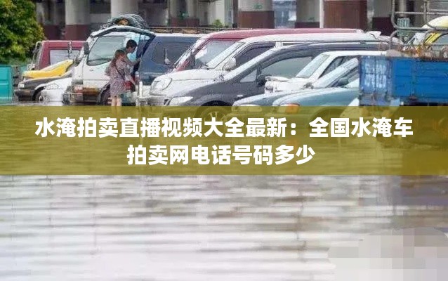 水淹拍卖直播视频大全最新:全国水淹车拍卖网电话号码多少