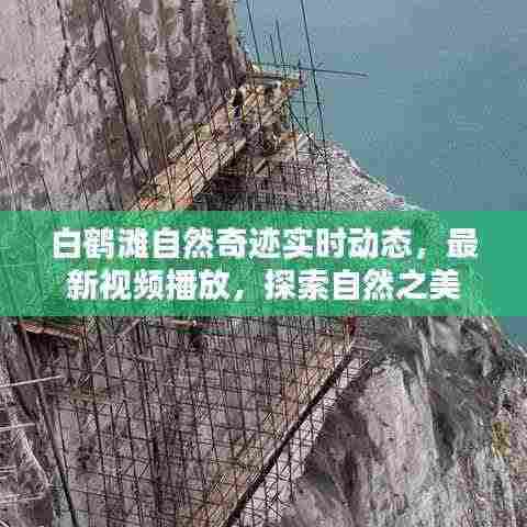 雪中送炭 第4页