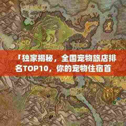 「独家揭秘,全国宠物旅店排名TOP10,你的宠物住宿首选!」
