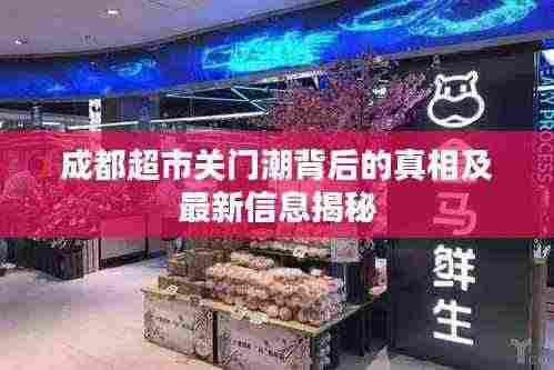 成都超市关门潮背后的真相及最新信息揭秘