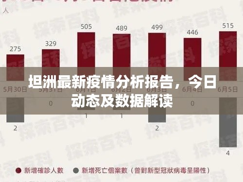 坦洲最新疫情分析报告,今日动态及数据解读