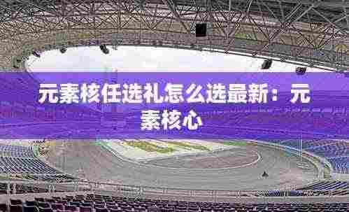 元素核任选礼怎么选最新:元素核心