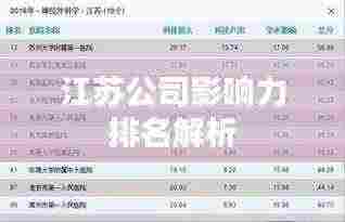 江苏公司影响力排名解析