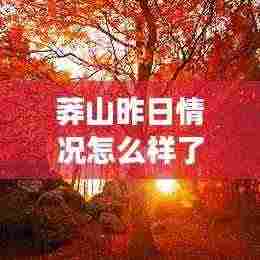 莽山昨日情况怎么样了最新消息:莽山旅游攻略自驾游门票