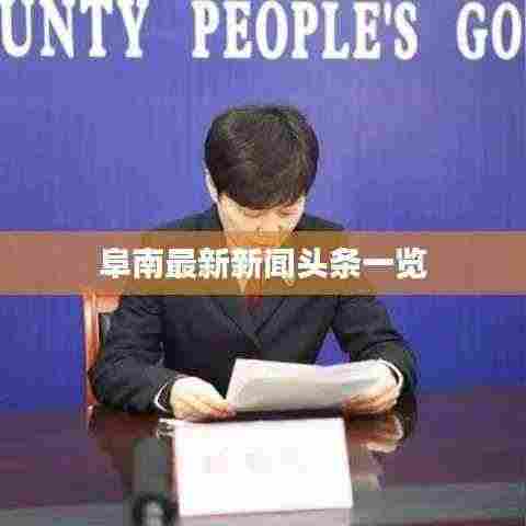 阜南最新新闻头条一览